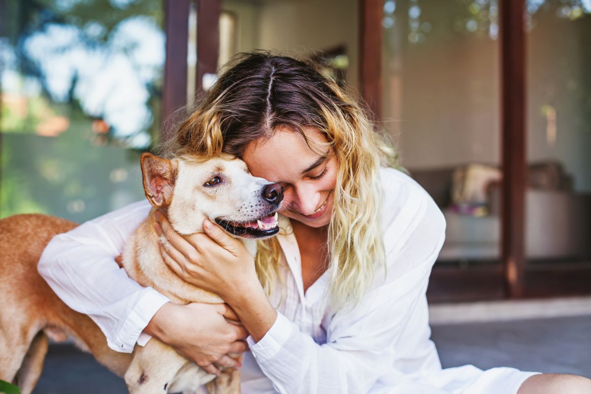 Healthy pet