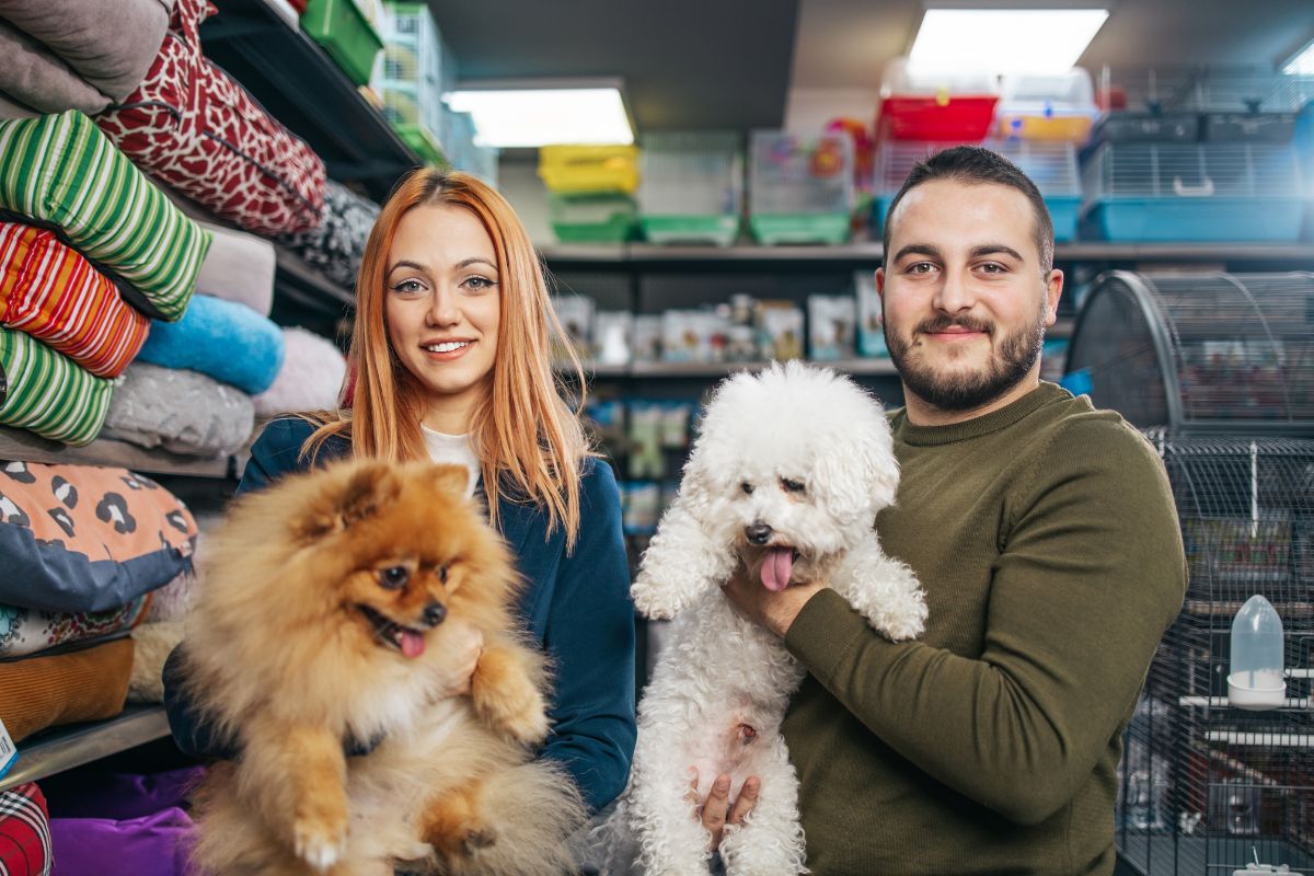 pets and their owners