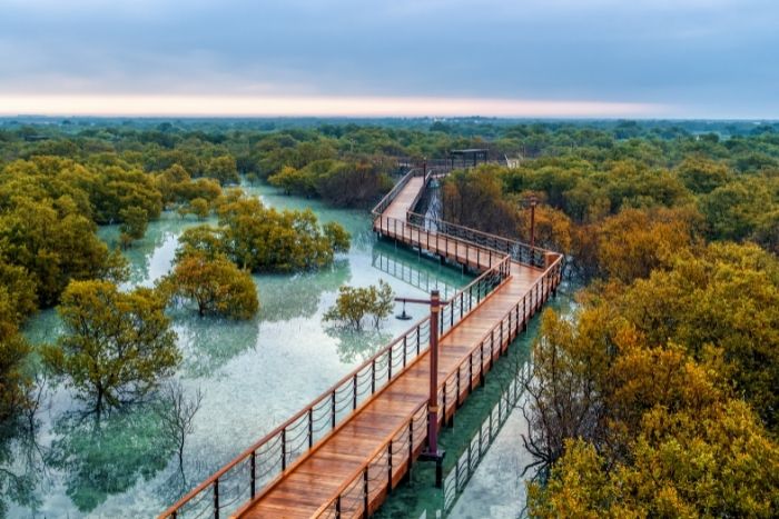 Jubail Mangrove Park to hold open day