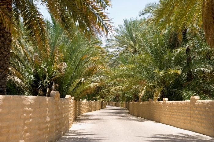 Al Batha Festival