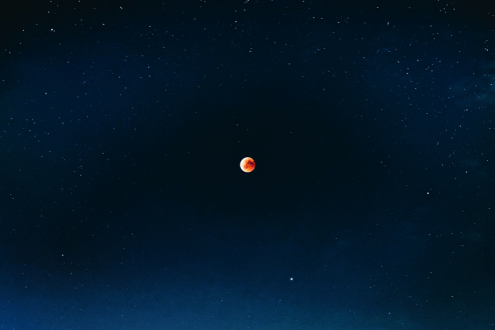 Venus 2023