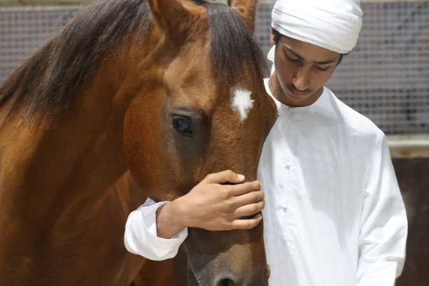 Abu Dhabi International Hunting And Equestrian Exhibition (Adihex) 2023