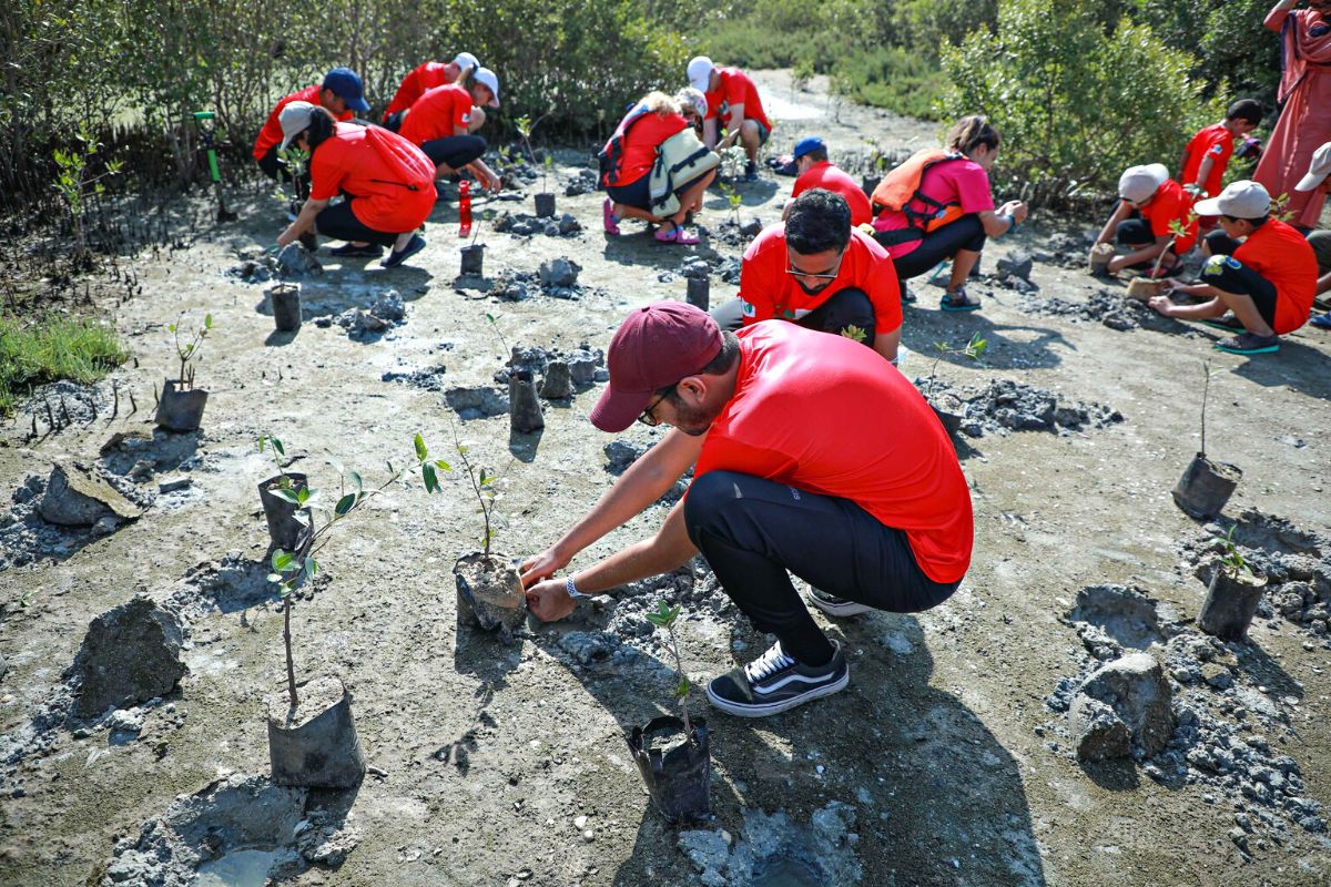 National Day Mangrove Project