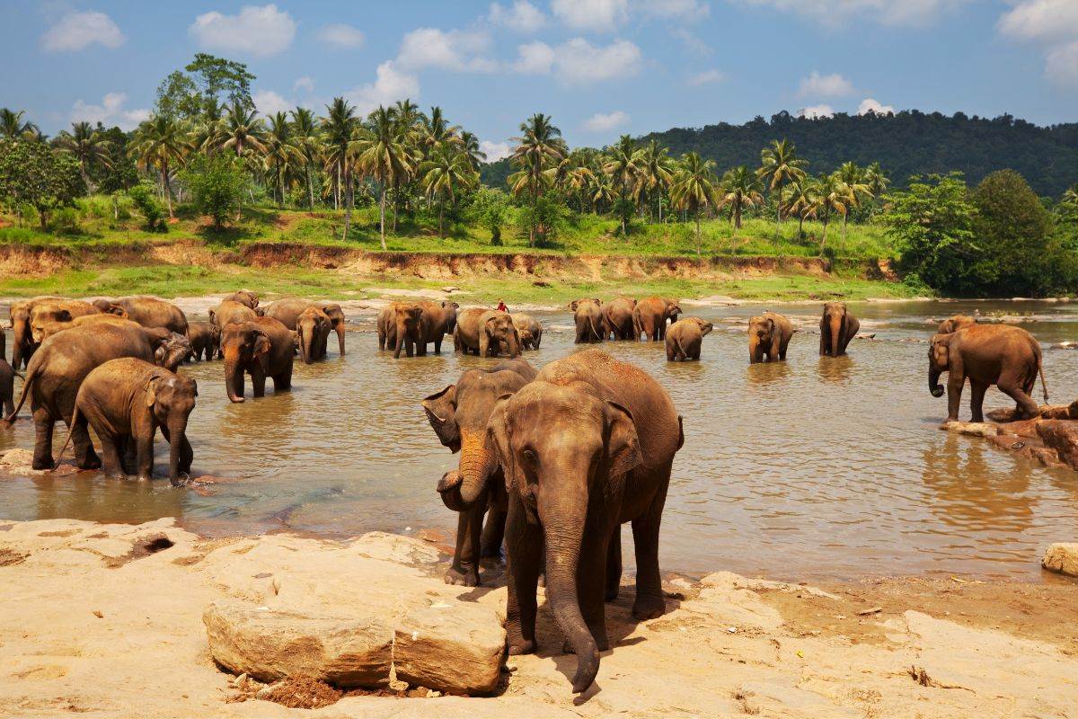 Sri Lanka