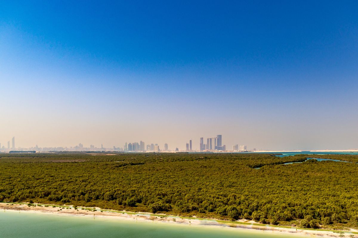 best things to do in Abu Dhabi, Mangrove National Park, places to visit in Abu Dhabi, attractions in Abu Dhabi