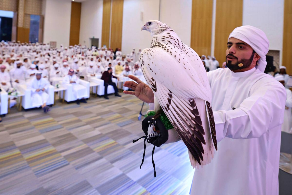 Falcon at ADIHEX