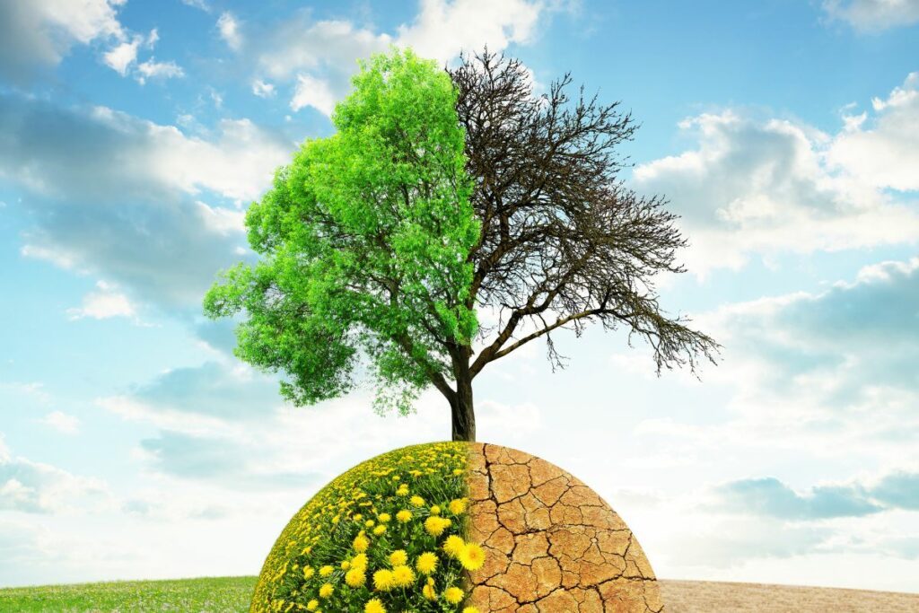 The Climate Tribe