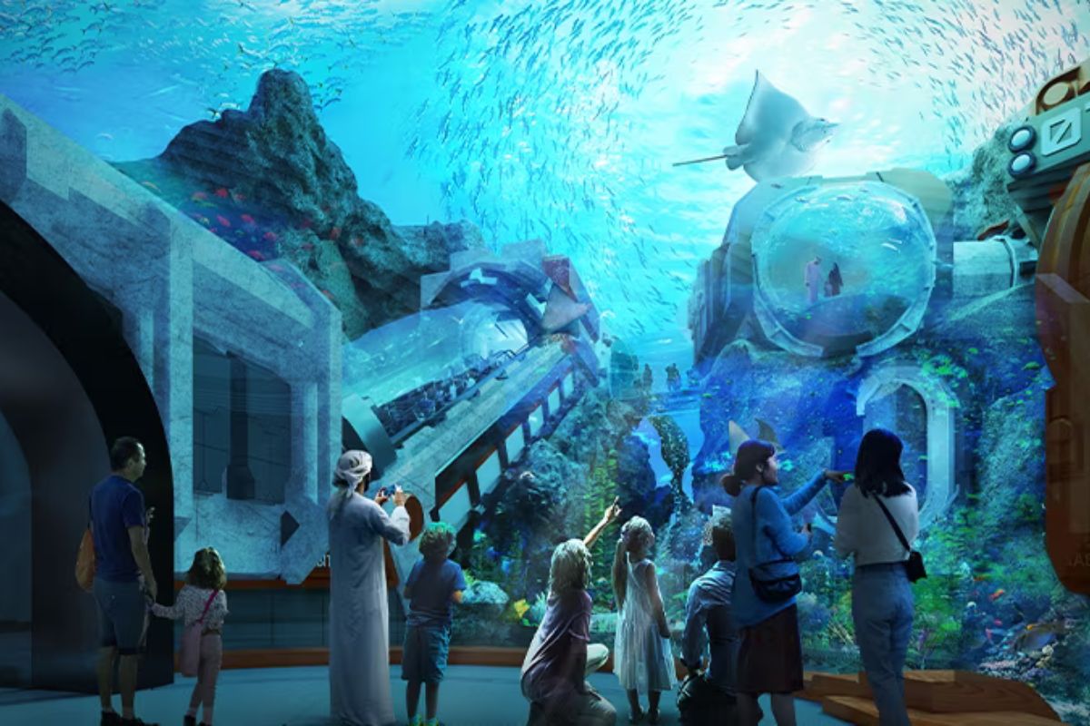 SeaWorld Abu Dhabi Shark Talk, SeaWorld Abu Dhabi Yas Island, SeaWorld Abu Dhabi 2023