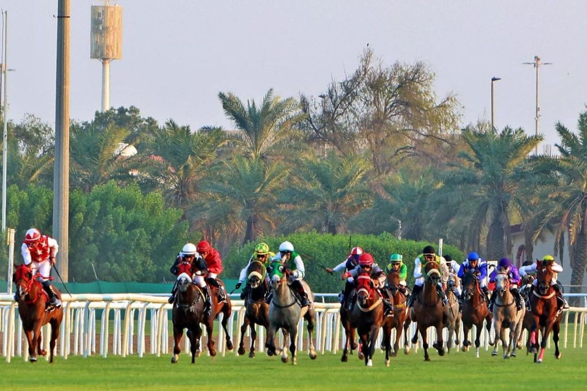 abu dhabi equestrian club, equestrian, horse, horse club, horse club abu dhabi, sports, sports in dubai, dubai sports, Horse racing in Abu Dhabi, Abu Dhabi horse racing,