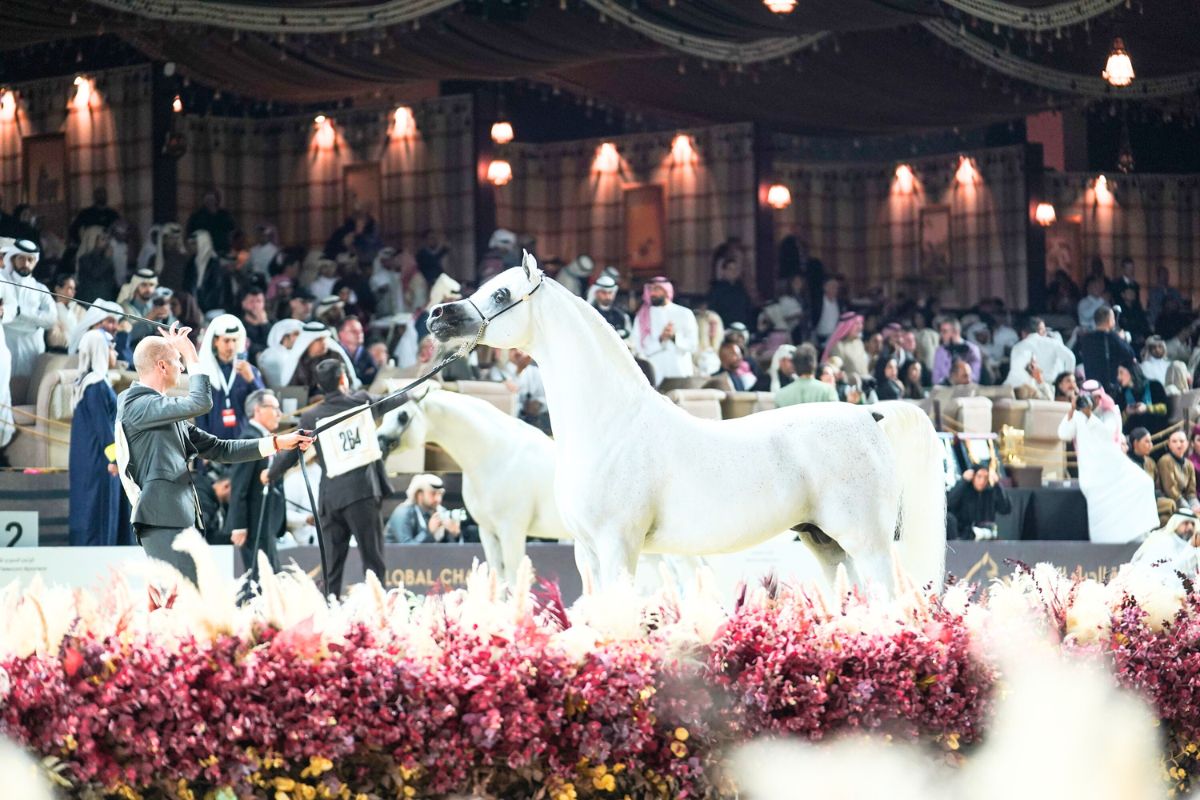 Global Champion Arabians Tour