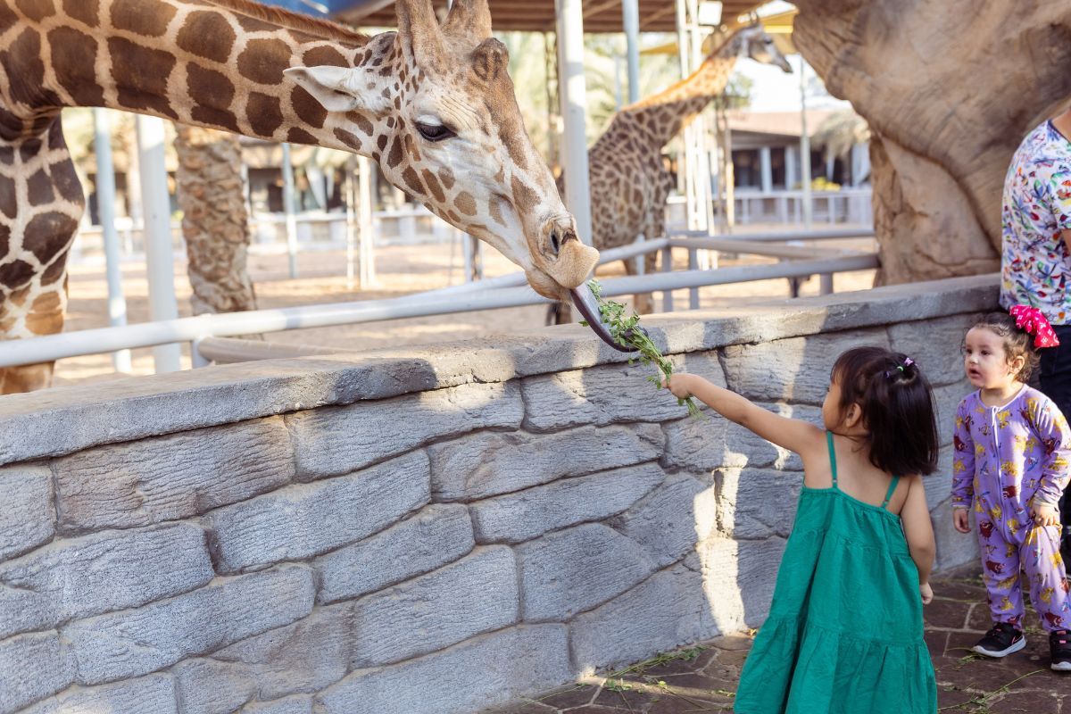 Emirates Park Zoo Ramadan 2024