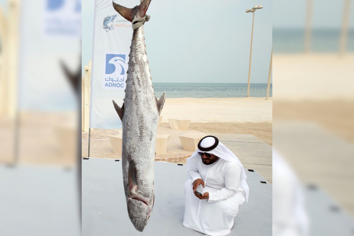 al Dhafra Kingfish