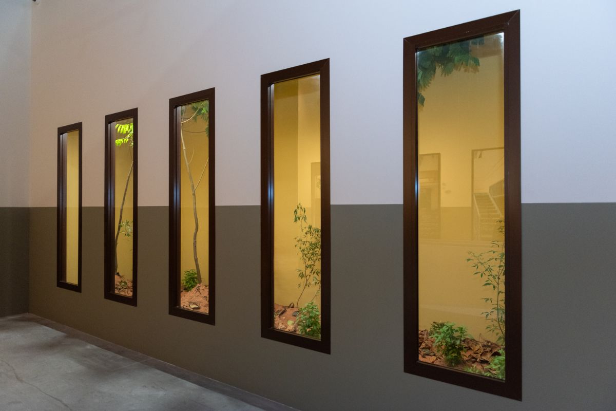 Beyond Emerging Artists in Venice, Abu Dhabi Art 2024