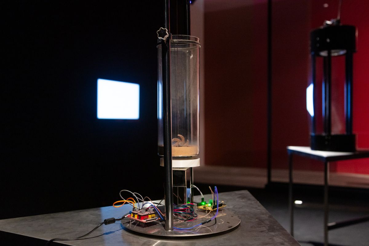 Beyond Emerging Artists in Venice, Abu Dhabi Art 2024