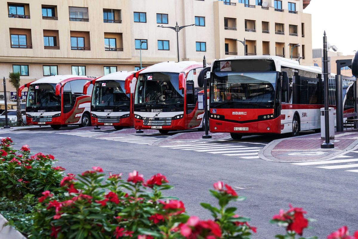 Dubai buses