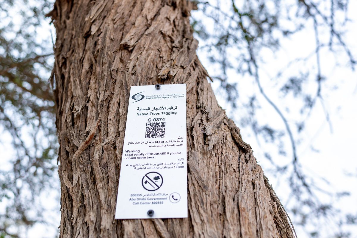 EAD Tree tagging