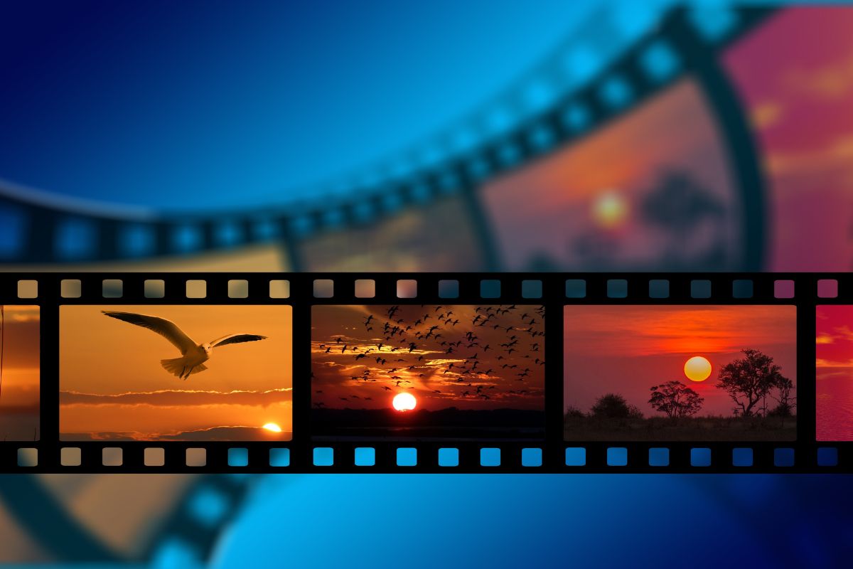 European Film Festival European Film Festival