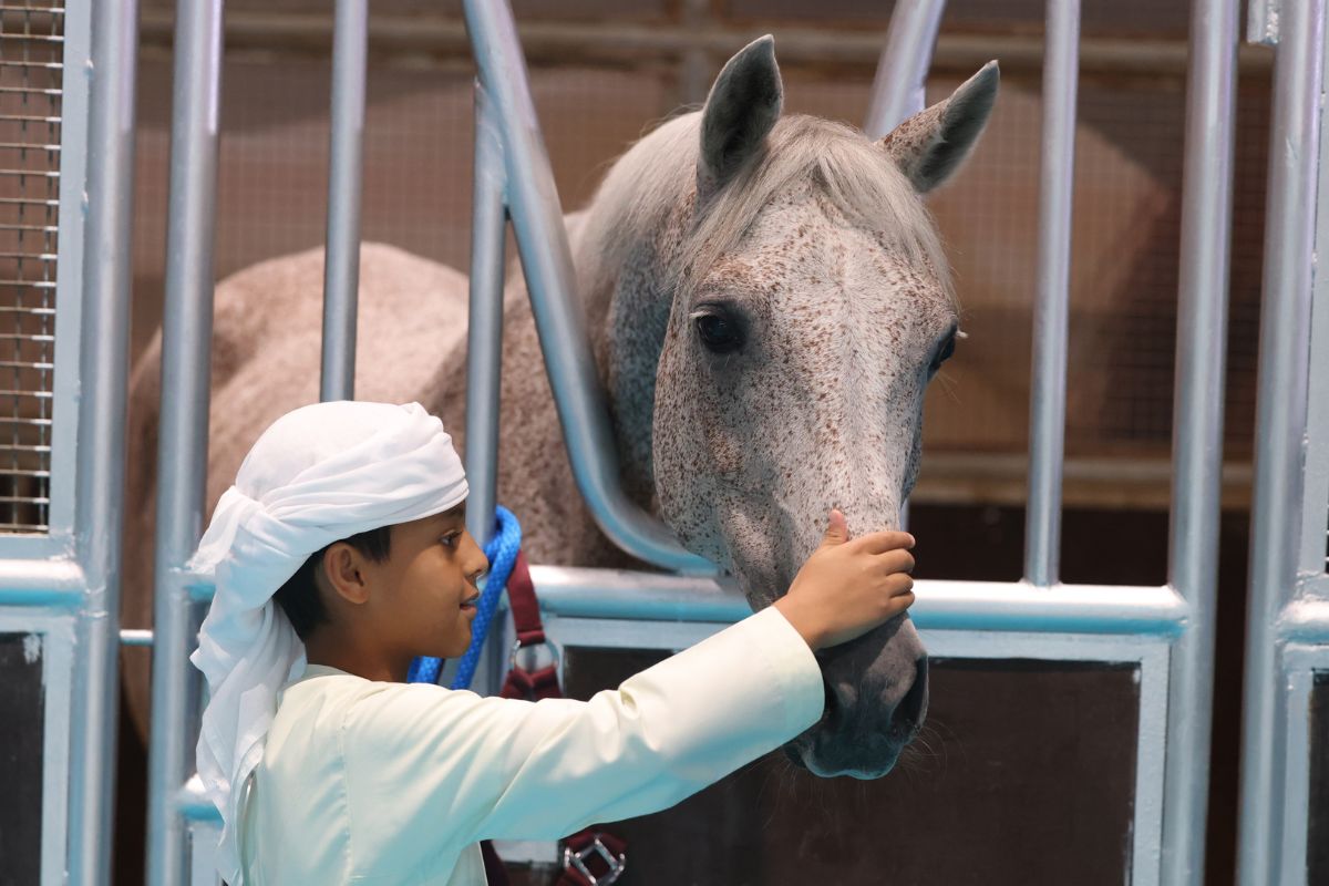 Kid holding a horse at ADIHEX