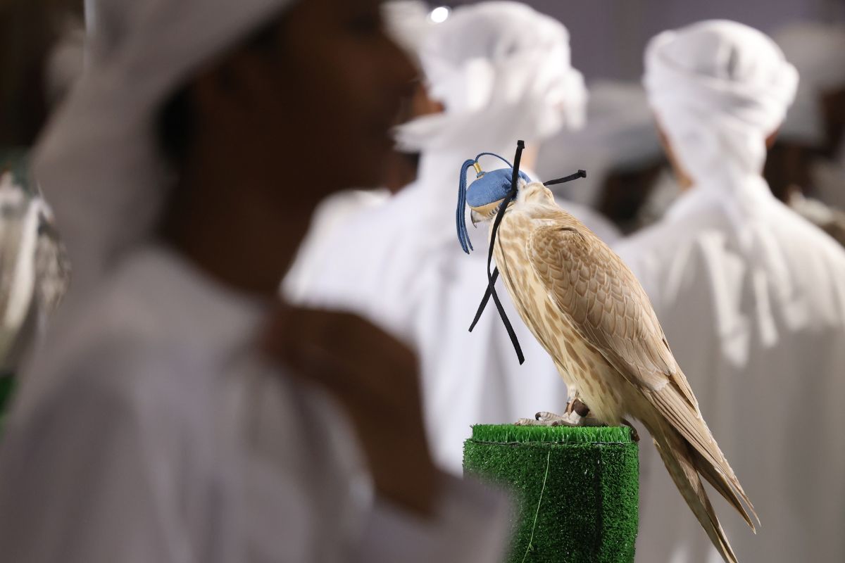 Man holding Falcon at ADIHEX