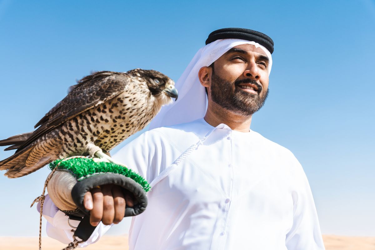 Falcon held by an Emirati