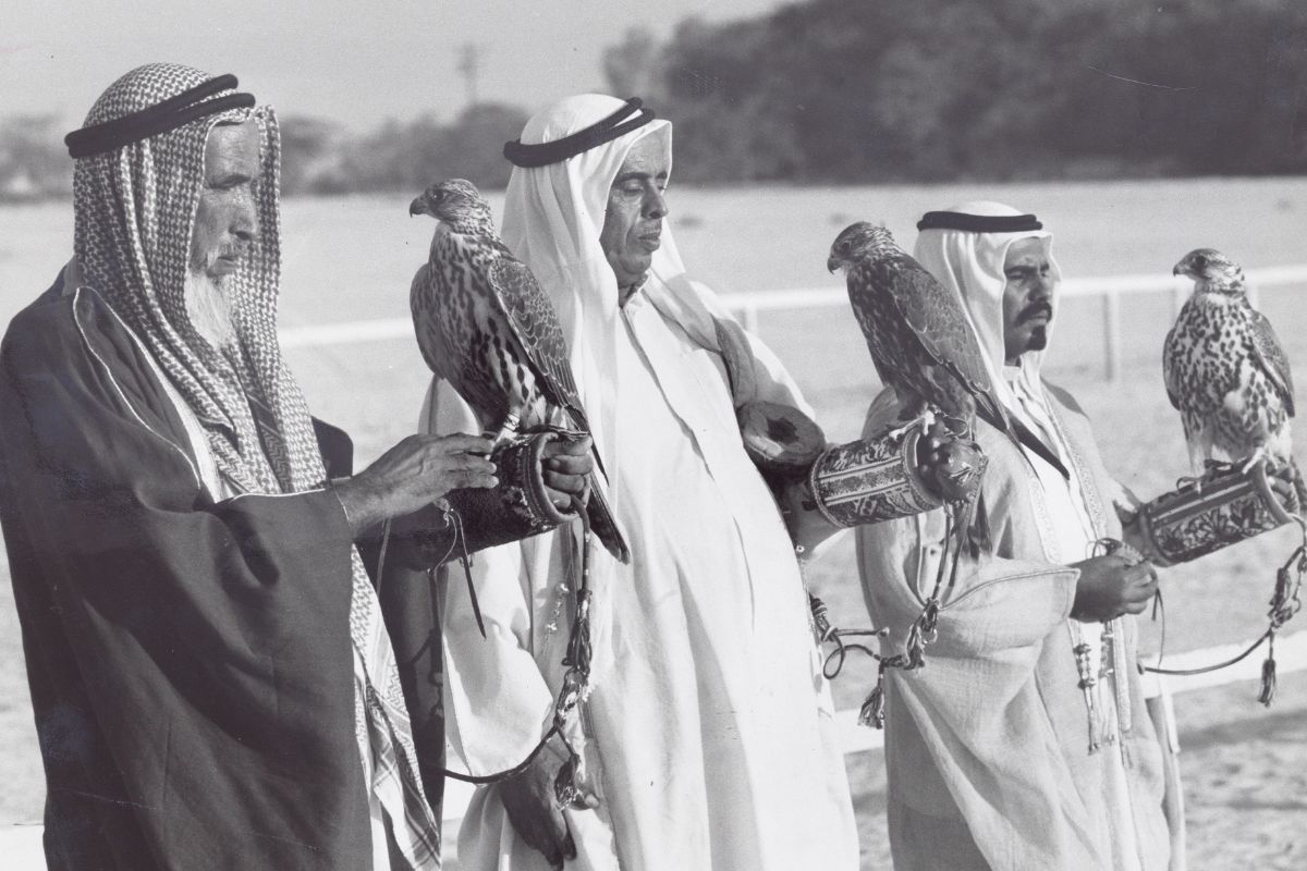 Falconry in the UAE