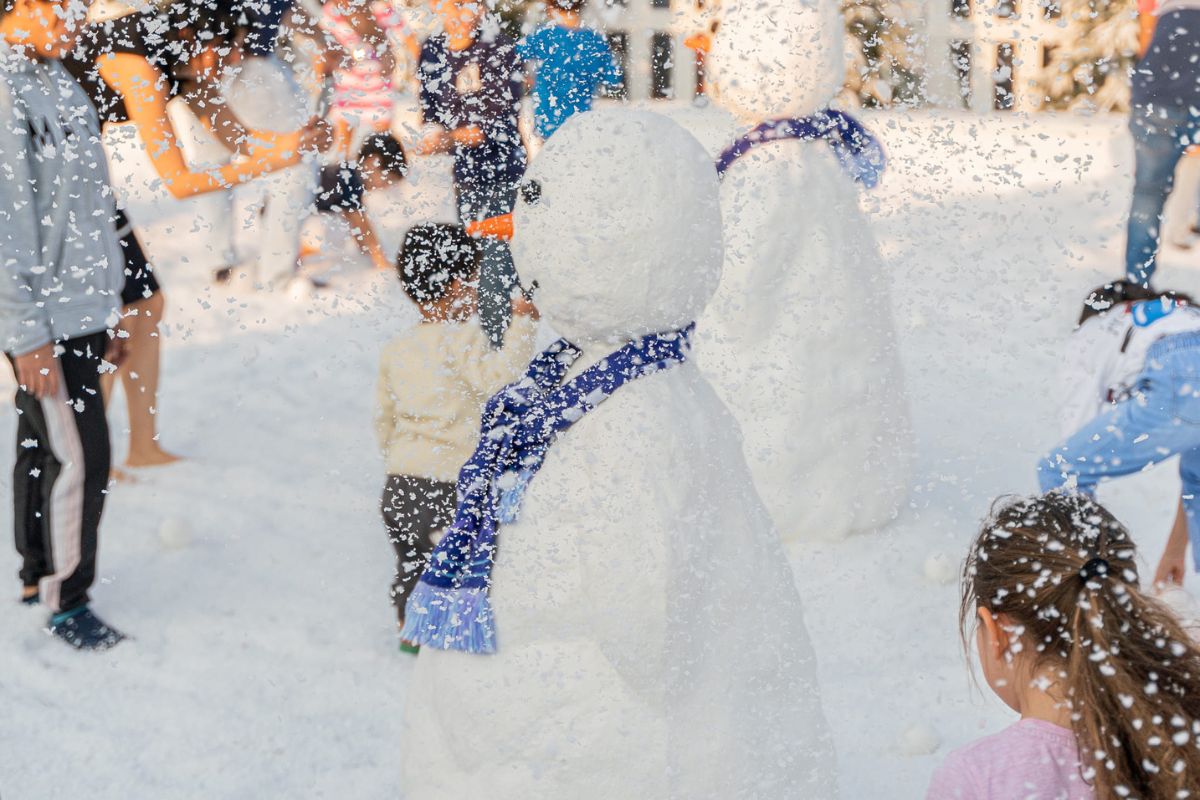 All the free things to do at Yas Winter Fest