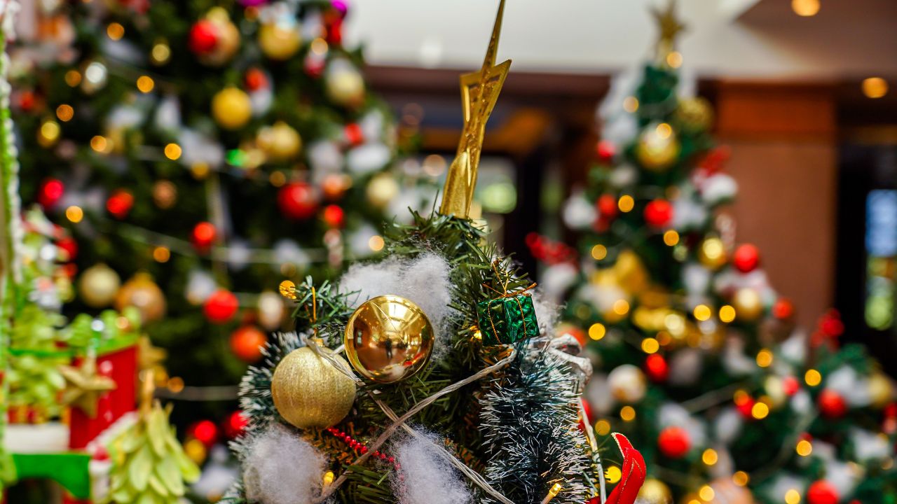 christmas tree lighting