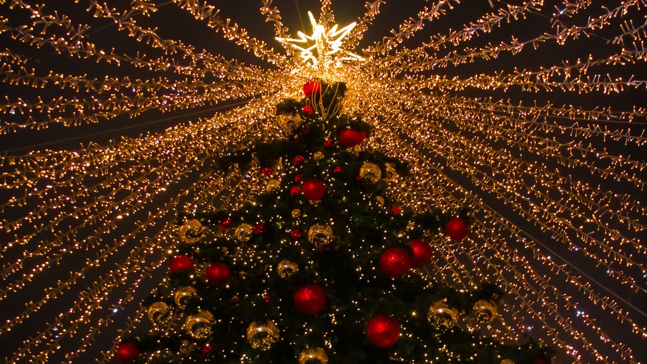 christmas tree lighting
