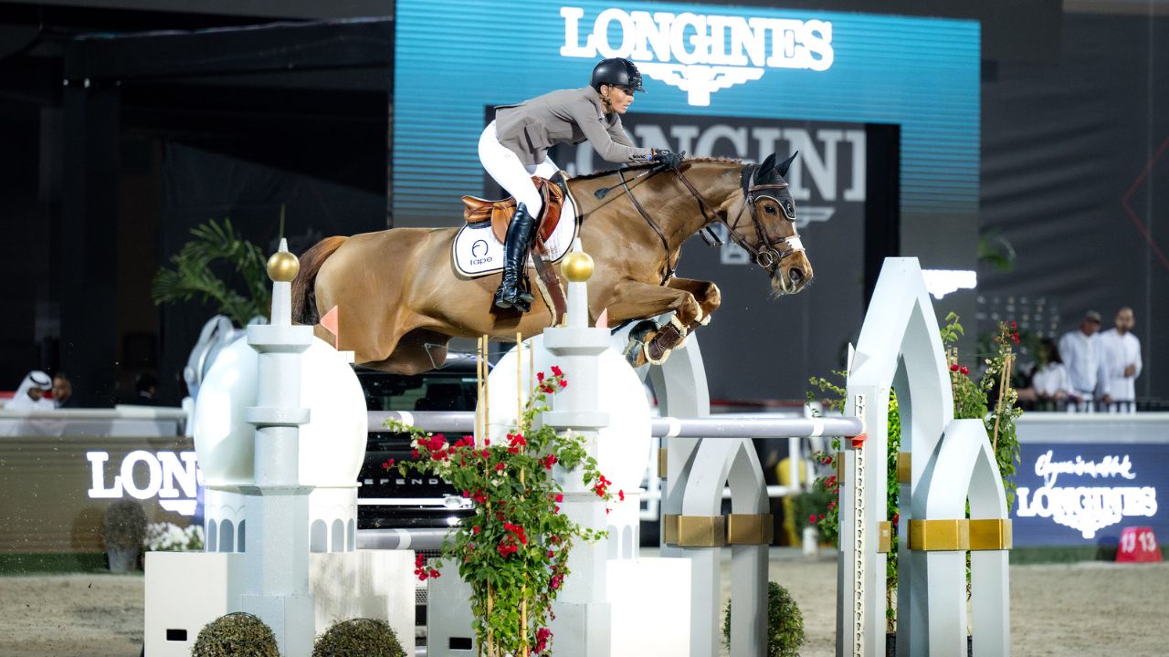 al shiraa horse show in abu dhabi