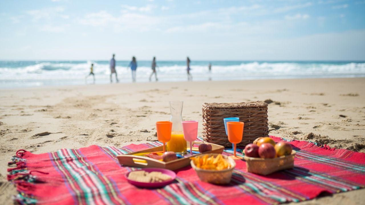 family beach picnic