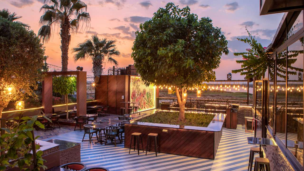 filini garden for valentine's day 2025