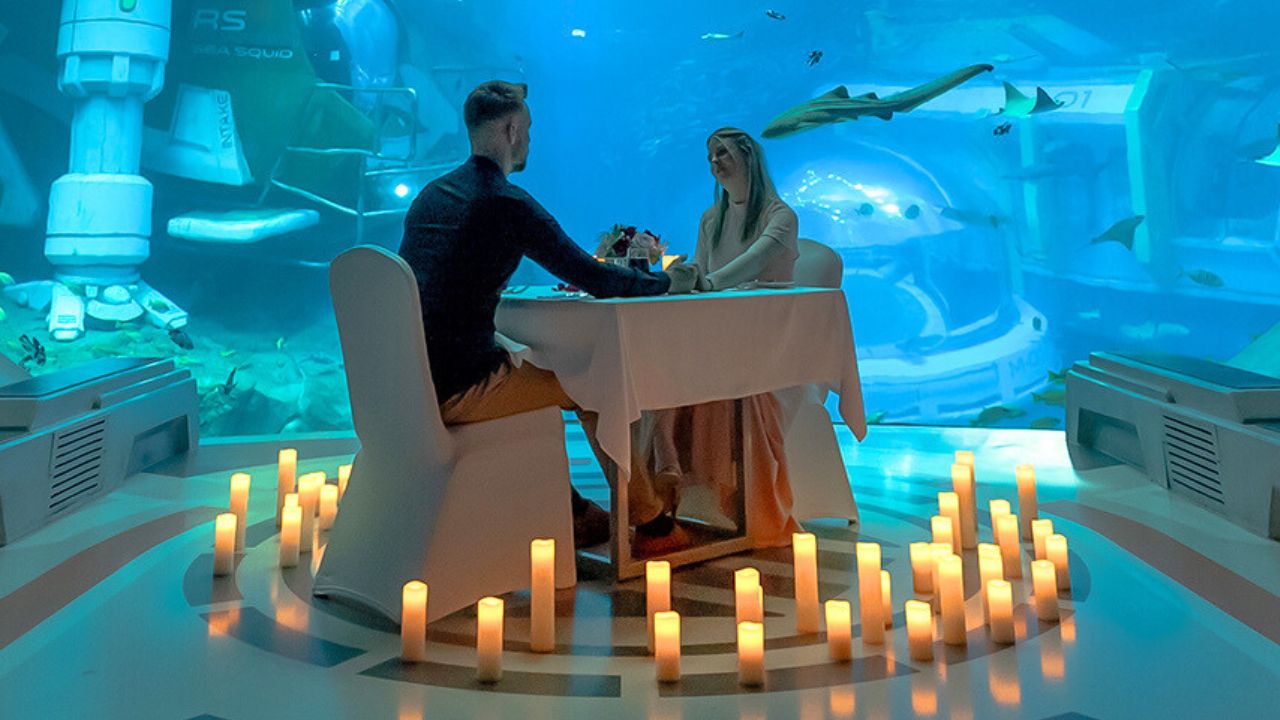 celebrate valentines day at seaworld abu dhabi