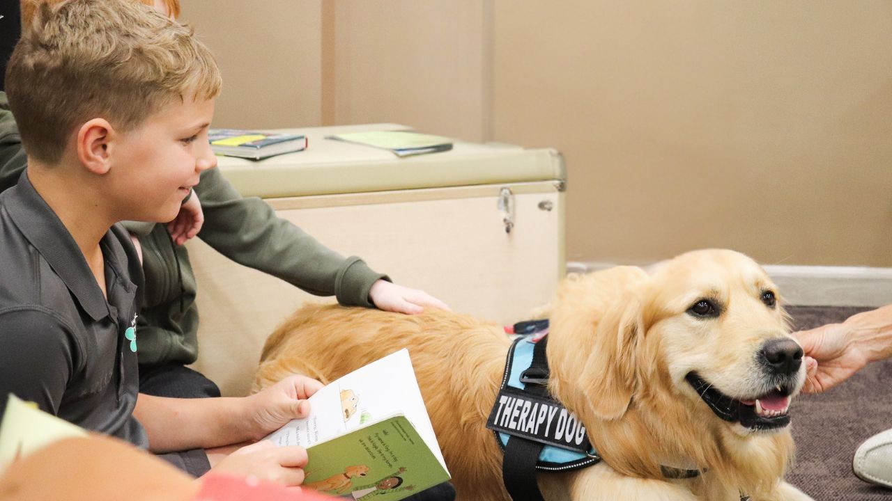 ris dog (2) dexter raha international school reading dog