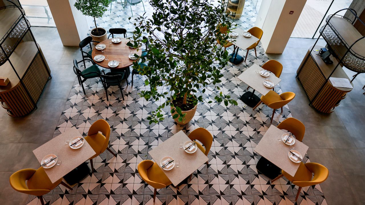 taparelle restaurant taparelle restaurant interior