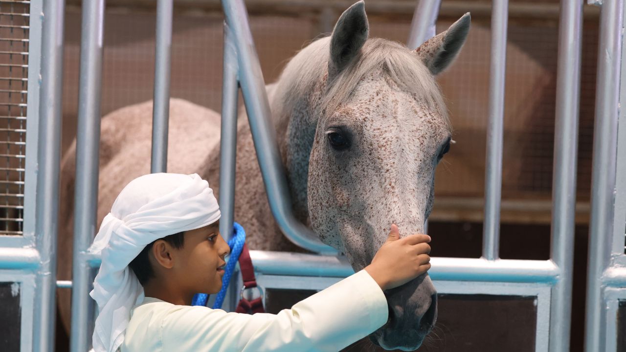 adihex; an emirati kid petting a horse