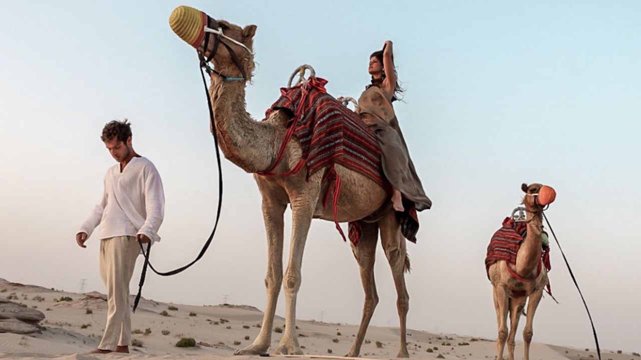 al wathba a luxury collection desert resort & spa
