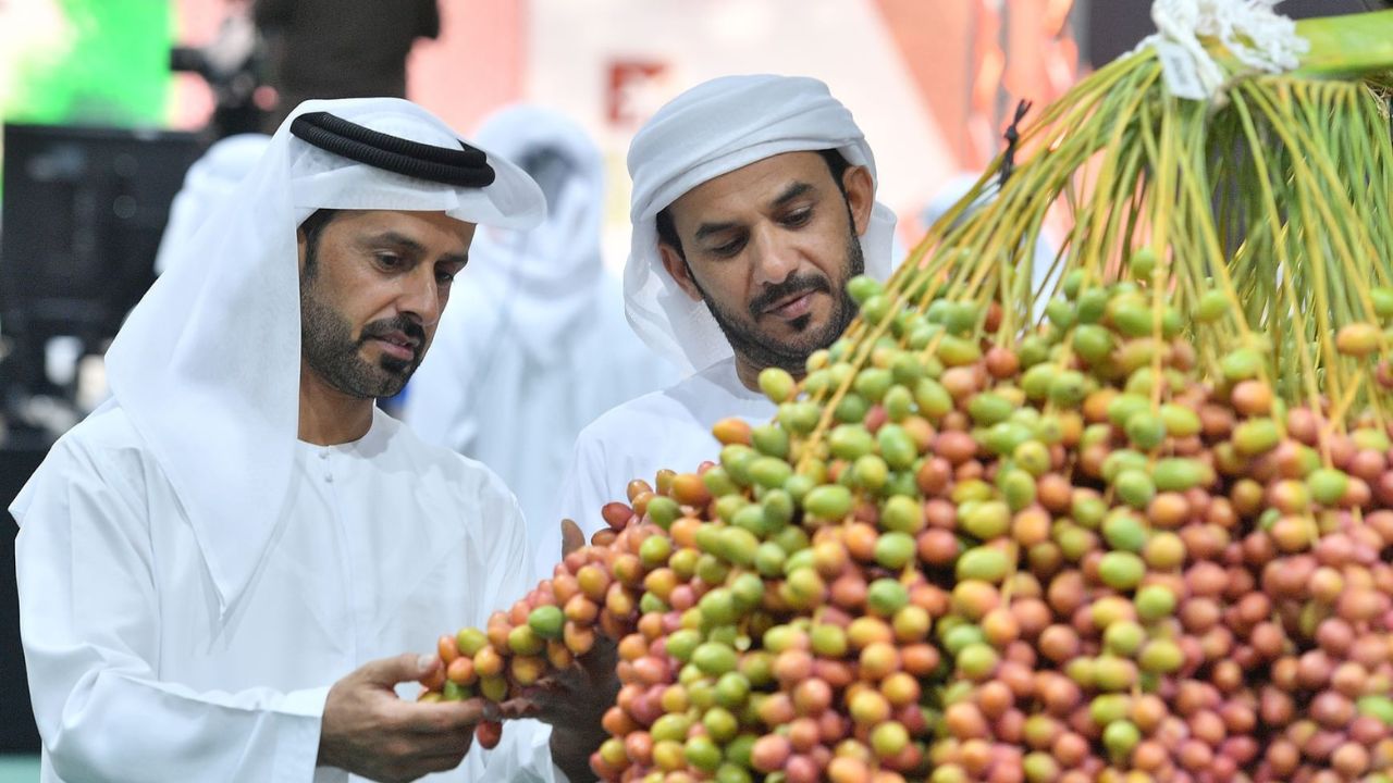 liwa date festival Liwa date festival coming this july 2025