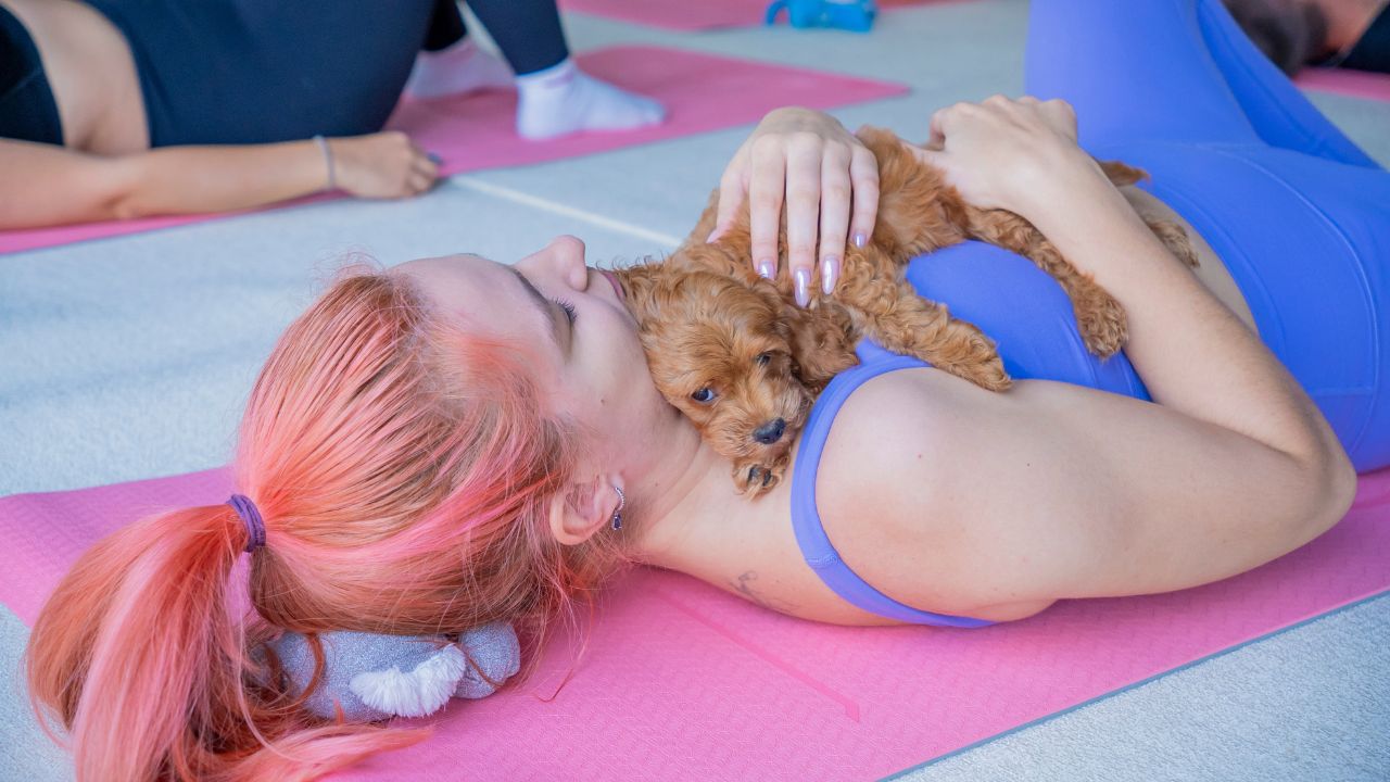 puppy yoga at jumeirah at saadiyat