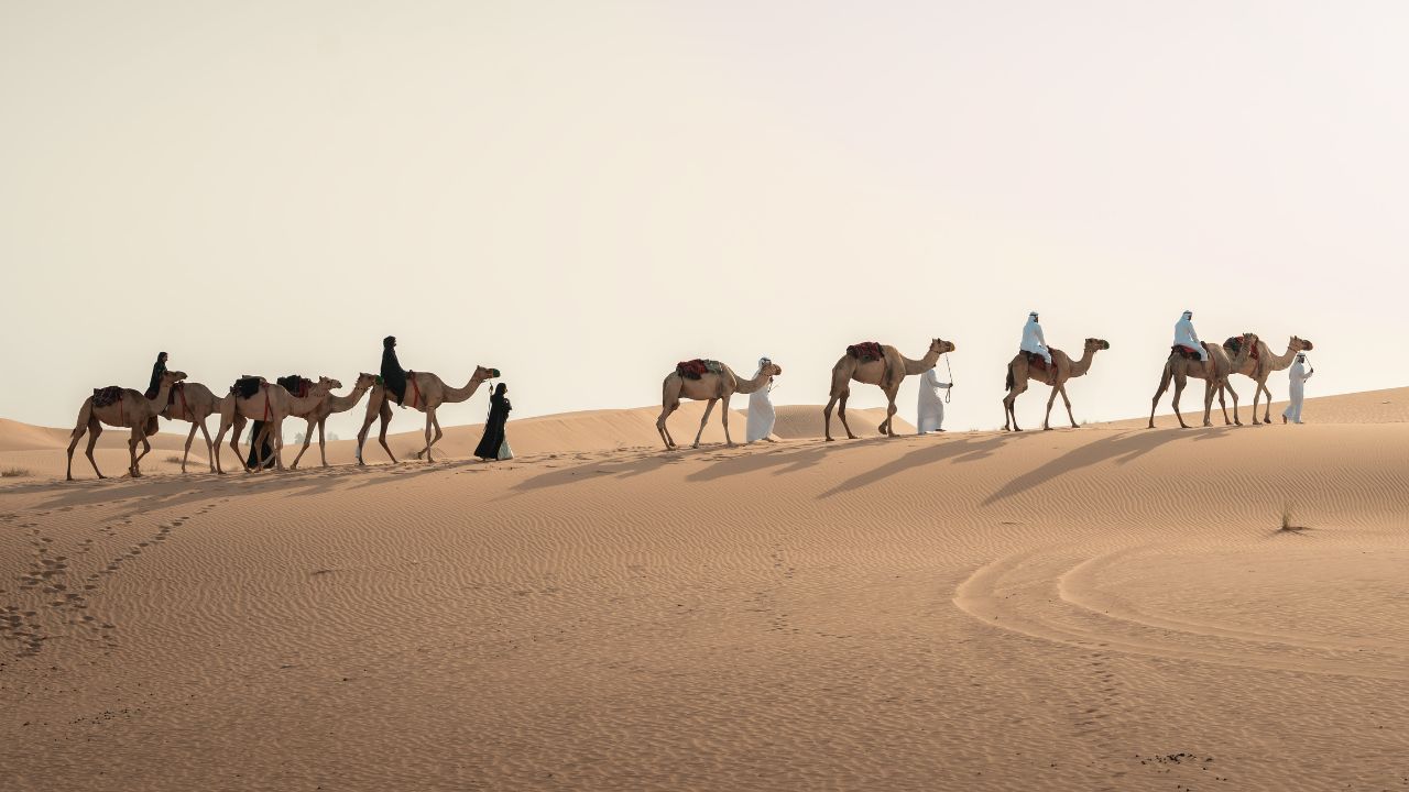 Misrah - UAE trekking