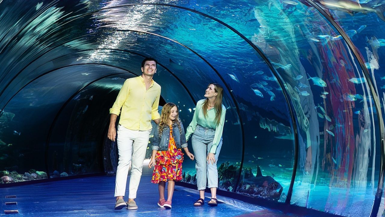 The national aquarium abu dhabi - al qana