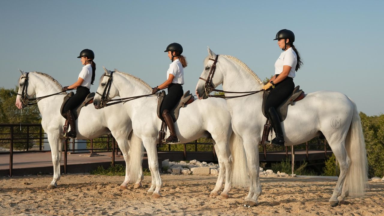 Abu Dhabi Royal Equestrian Arts