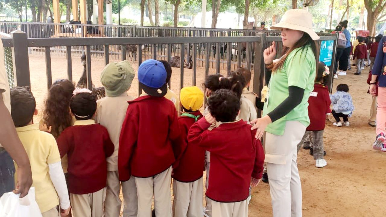 Umm Al Emarat Park - Season 2025-2026 Winter season lineup