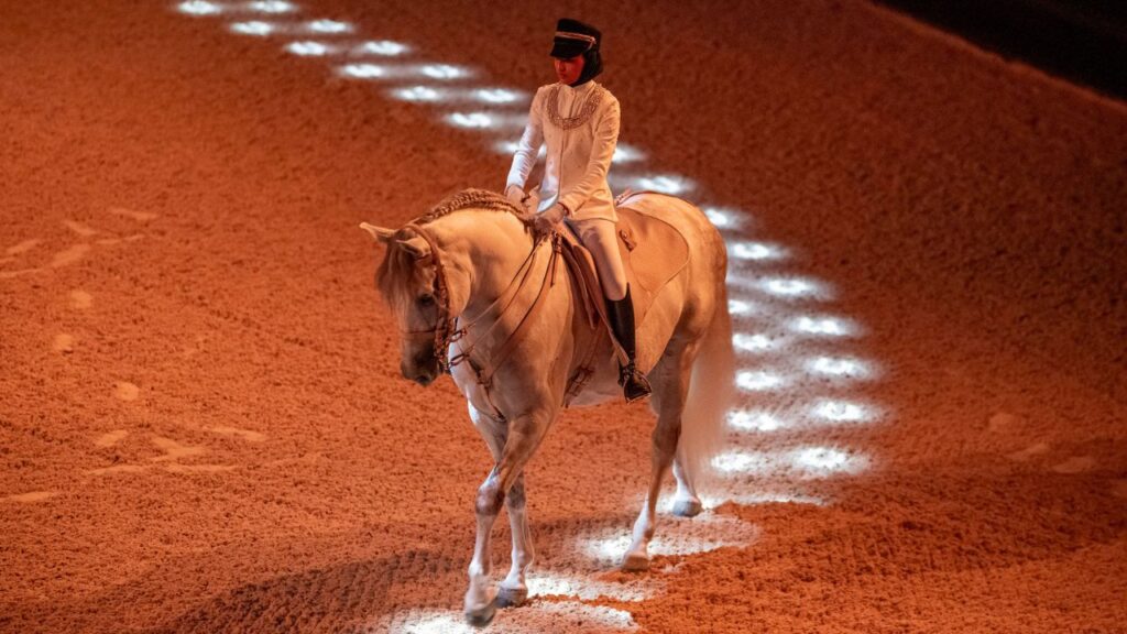 ADREA - Abu Dhabi Royal Equestrian Arts