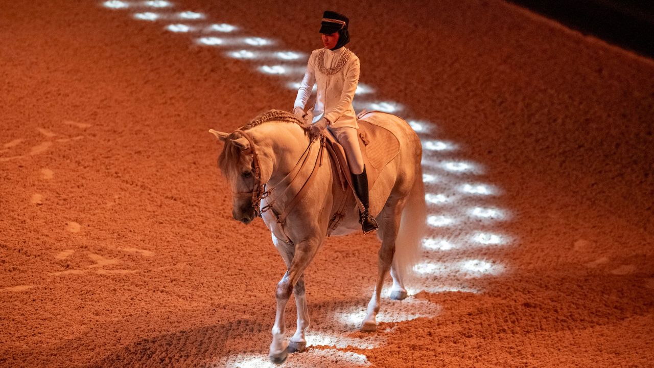 ADREA - Abu Dhabi Royal Equestrian Arts