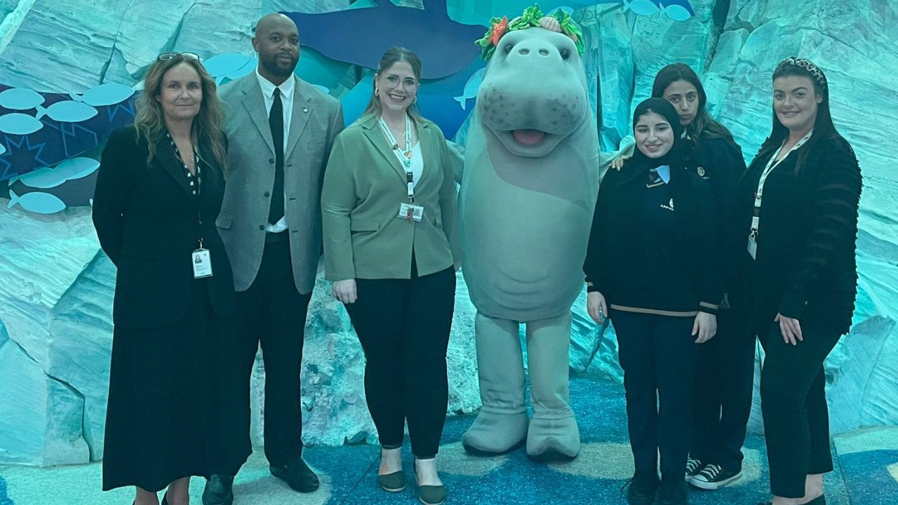 yas american academy