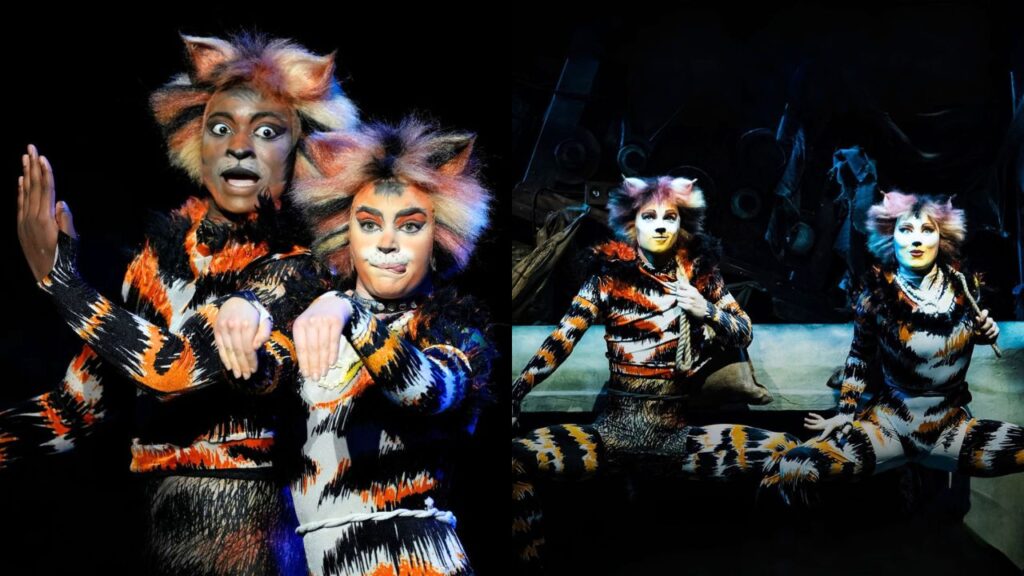 CATS the Musical