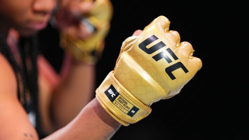 UFC 333