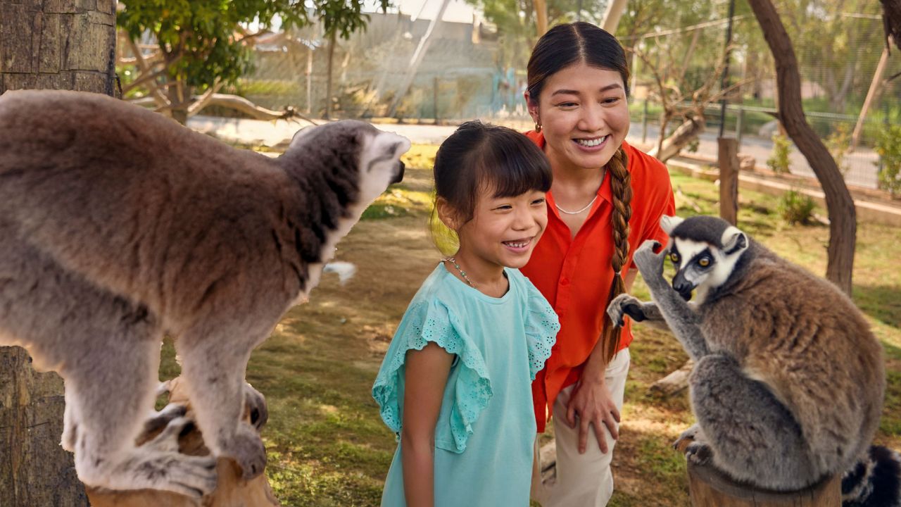 A mother and kid looking at animals