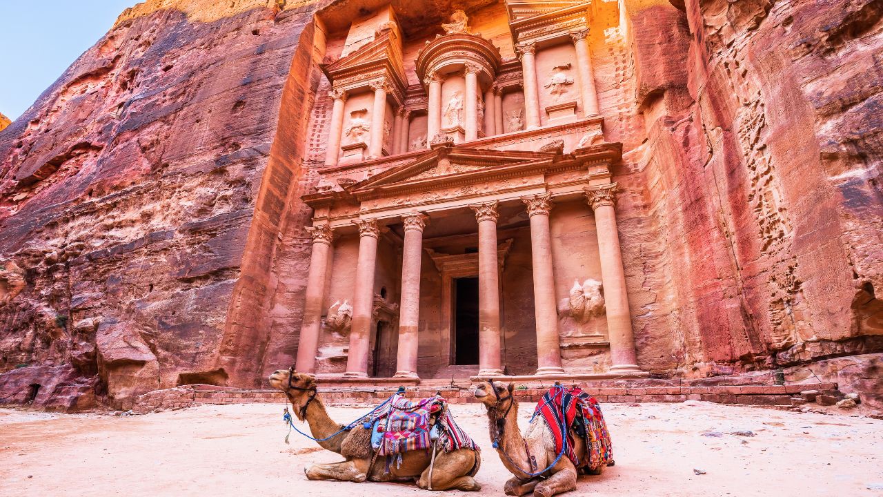 Camels resting near ancient Petra