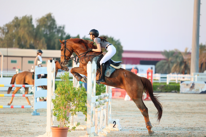 Abu Dhabi Equestrian Festival 2